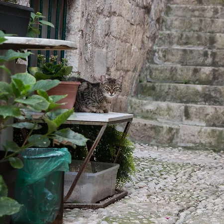 Belissima Ella * Dubrovnik